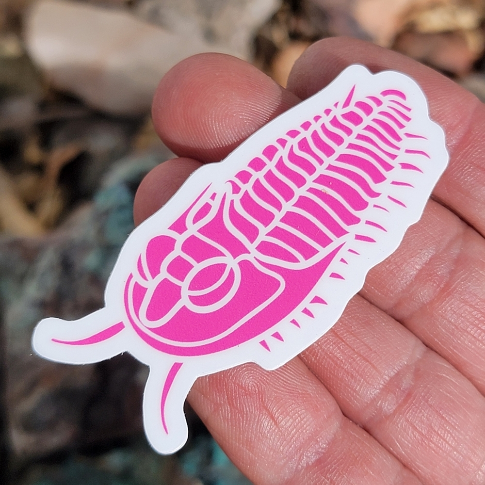 Trilobite Sticker | Neon Pink Fossil Sticker | Small - Picture 2 of 6